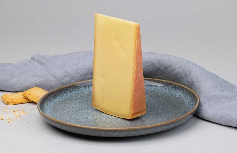 Schwingerkäse rezent