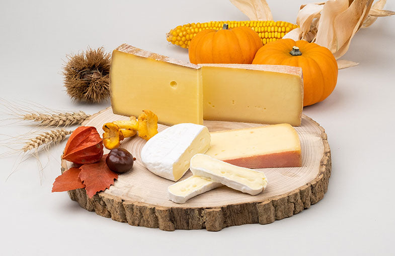 
            
                Laden Sie das Bild in den Galerie-Viewer, kaesebox-herbstliche-2023092-edelweiss.jpg__PID:ec2bec9c-b65a-4667-b8c9-83699e20659a
            
        